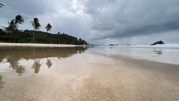 Choose Kindness Always